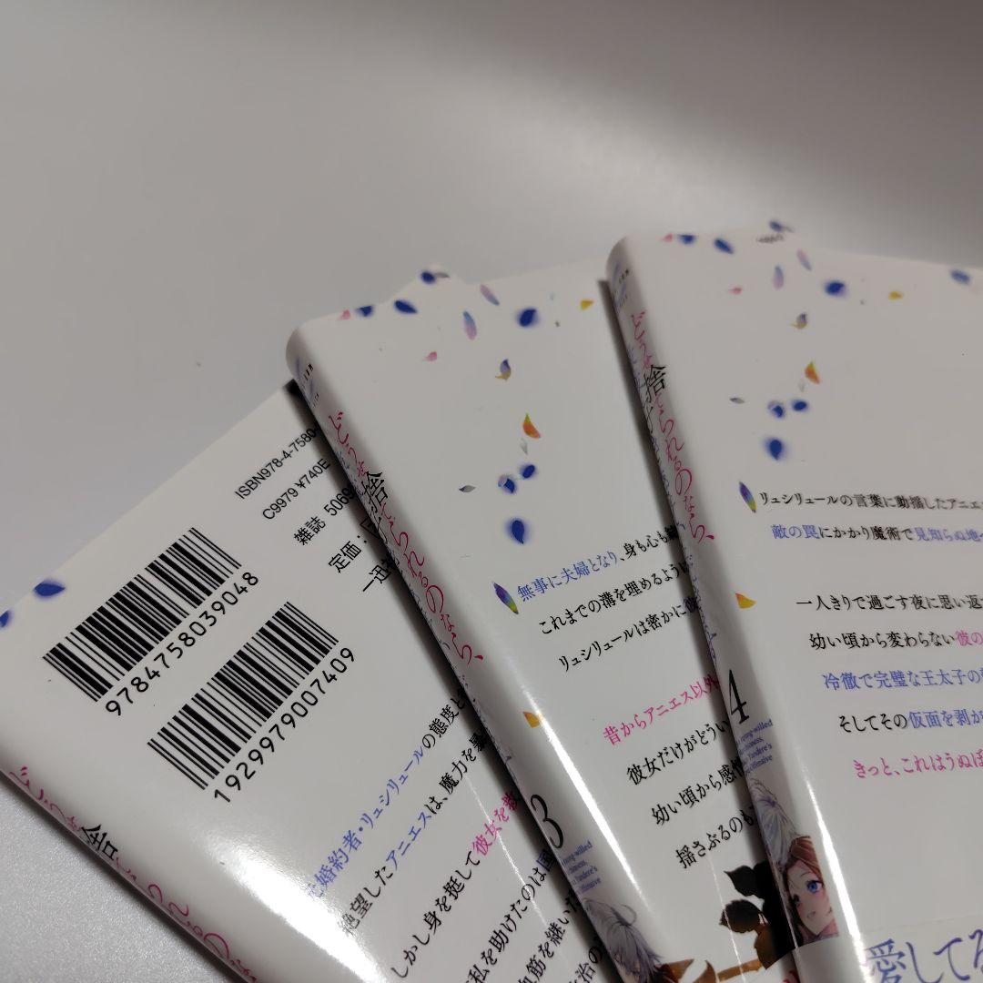 どうせ捨てられるのなら、最後に好きにさせていただきます 2 ZERO-SUMコ…